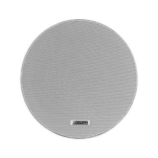 Dsppa Ceiling Speaker