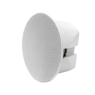 Dsppa Ceiling Speaker