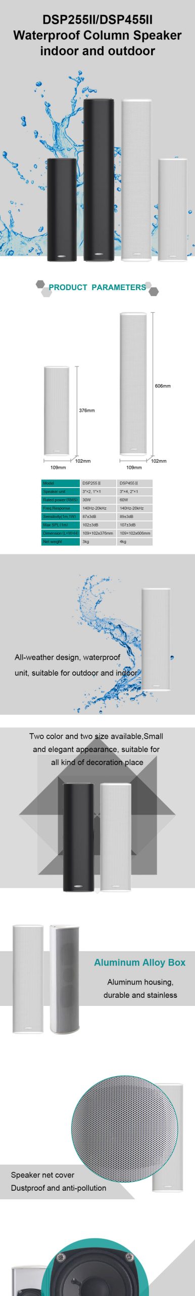 Dsppa Column Speaker Brochure